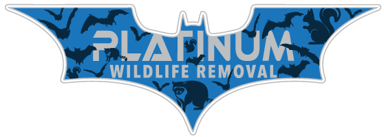 Wildlife Removal Saginaw County